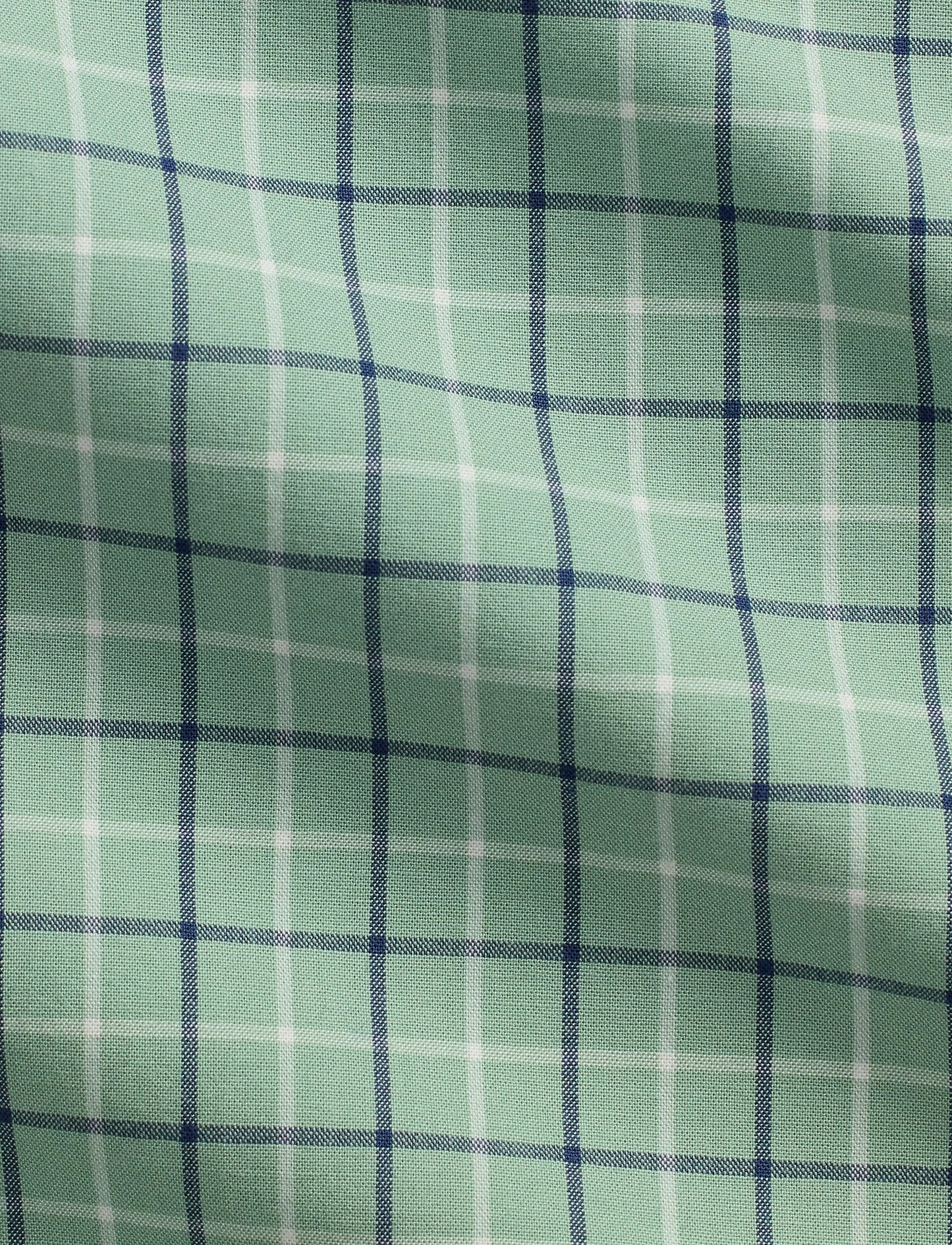Polo Ralph Lauren - Poplin Stretch Shirt - Check - Green & Blue