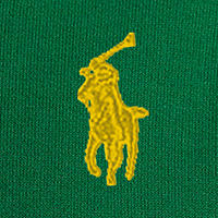 Polo Ralph Lauren - RL Fleece Hoodie - Bright Athletic Green
