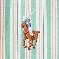 Polo Ralph Lauren - Oxford Shirt - Stripe - Green, White Multi